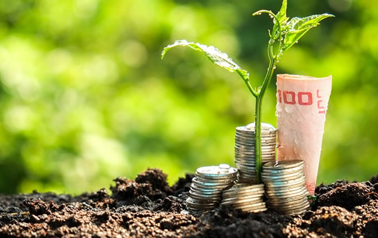 Cours Entreprises et développement durable, en ligne (avec certificat)​