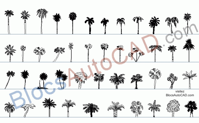 PALMIERS ELEVATION (BLOCS AUTOCAD DWG)