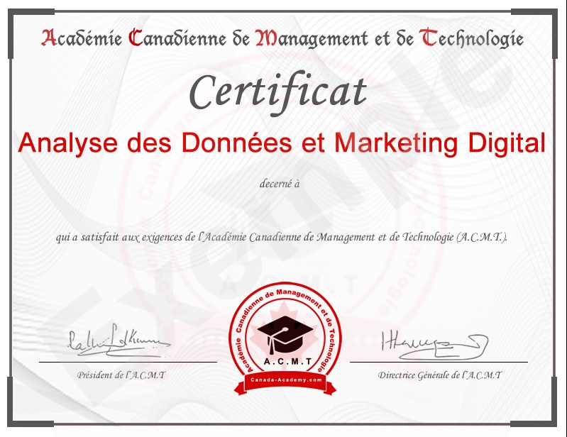 certificat et cours en ligne analyse des donnes et marketing digital
